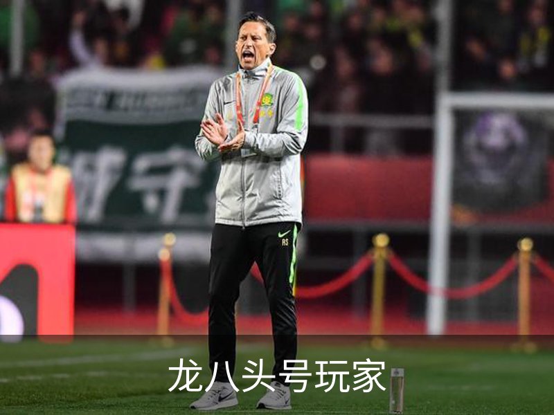 龙八头号玩家品牌故事